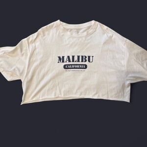 Brandy Melville malibu cropped t-shirt